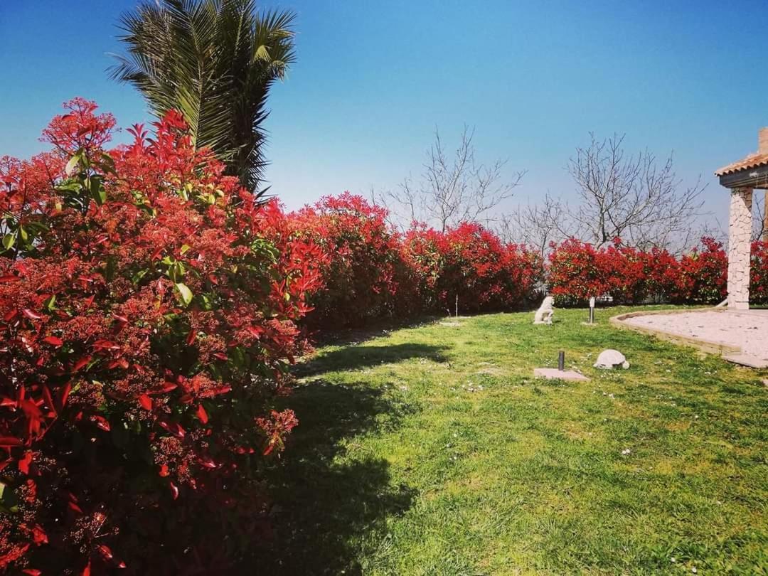 La Bella Addormentata Bed and Breakfast Κιέτι Δωμάτιο φωτογραφία