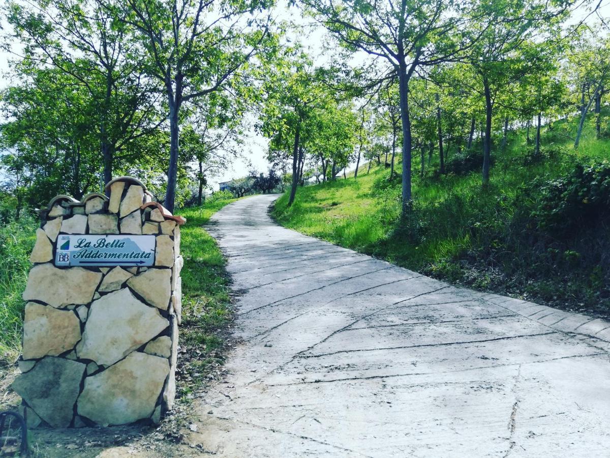 La Bella Addormentata Bed and Breakfast Κιέτι Εξωτερικό φωτογραφία